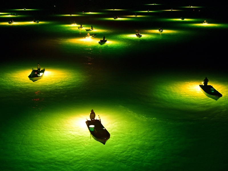 TOKUSHIMA, JAPAN - FEBRUARY 21:  (CHINA OUT, SOUTH KOREA OUT) Fish collecting lamps of young eel fishing boats are seen on the Yoshino River on February 21, 2015 in Tokushima, Japan. Fishermen scoop approximately 5 centimetres young eels which gather to lamps. Eels are collected and raised as farming facilities.  (Photo by The Asahi Shimbun via Getty Images)