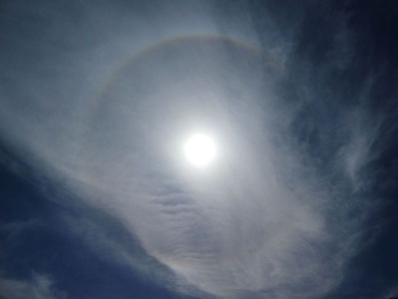 photo prise par Irène Saladino  le 31 mars à 450 mètres d'altitude, commune de St Pierre de Colombier (Ardèche) aux environs de 16 h. Merci pour votre participation.