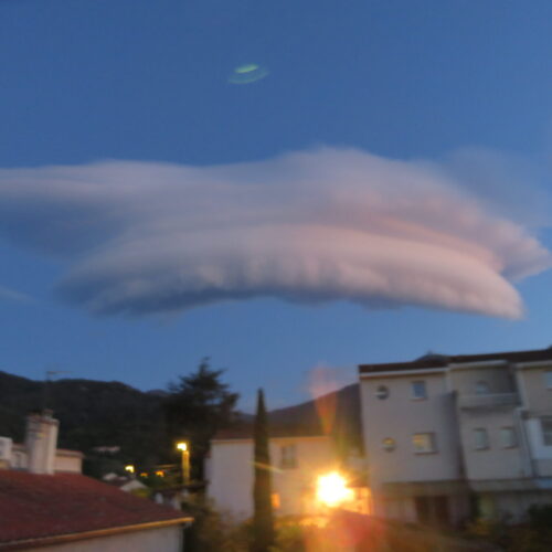 IMG_2366 IMG_2366